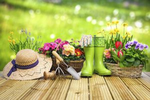 Gardening tools and flowers on the terrace in the garden